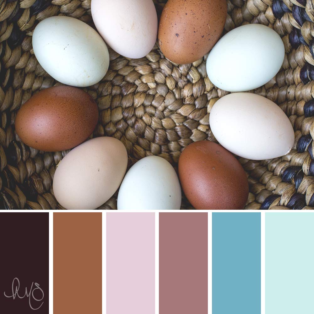 photo of fresh multi-colored eggs arranged in a basket