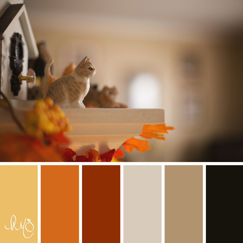 autumn color palette