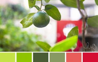green and red jewel color palette