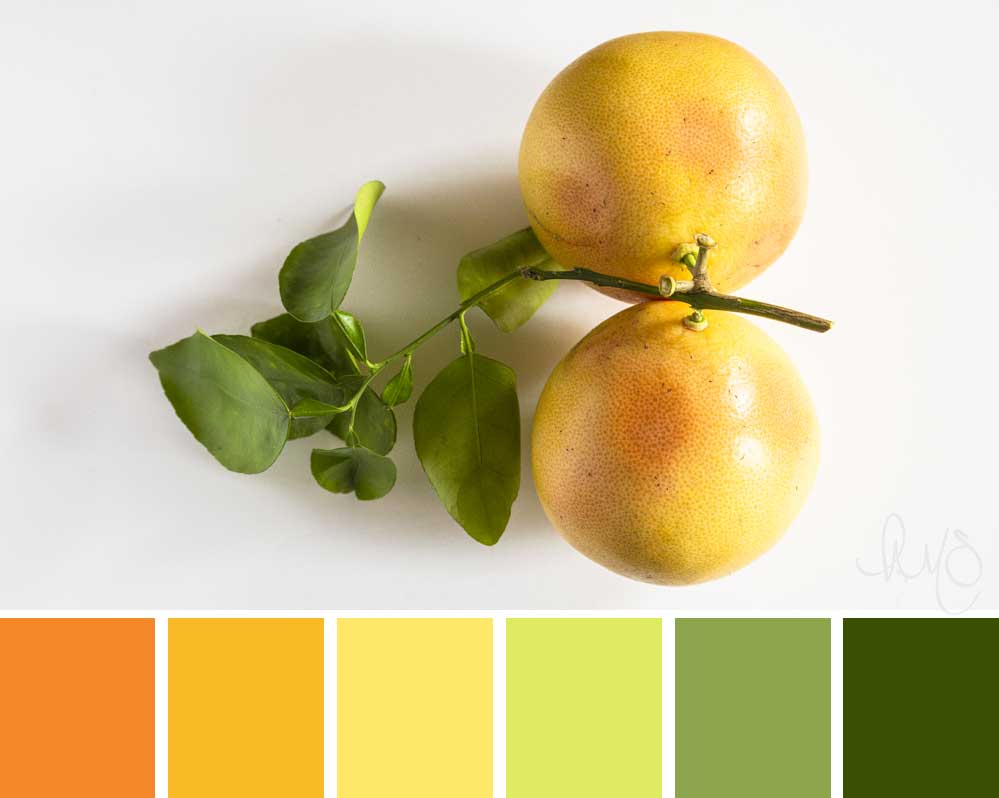 grapefruit citrus color palette
