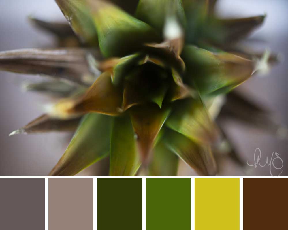 macro closeup pineapple color palette